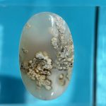 Moss Agate Winter Arghavan