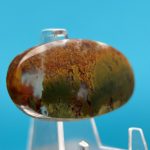 Moss Agate Fall Bahar