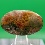 Moss Agate Fall Paktan