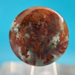 Moss Agate Fall Tanaz