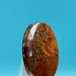 Moss Agate Fall Taban