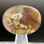 Moss Agate Fall Farhang