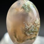 Moss Agate Fall Sana