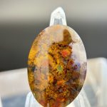 Moss Agate Fall Atosa