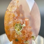 Moss Agate Fall Izadyar