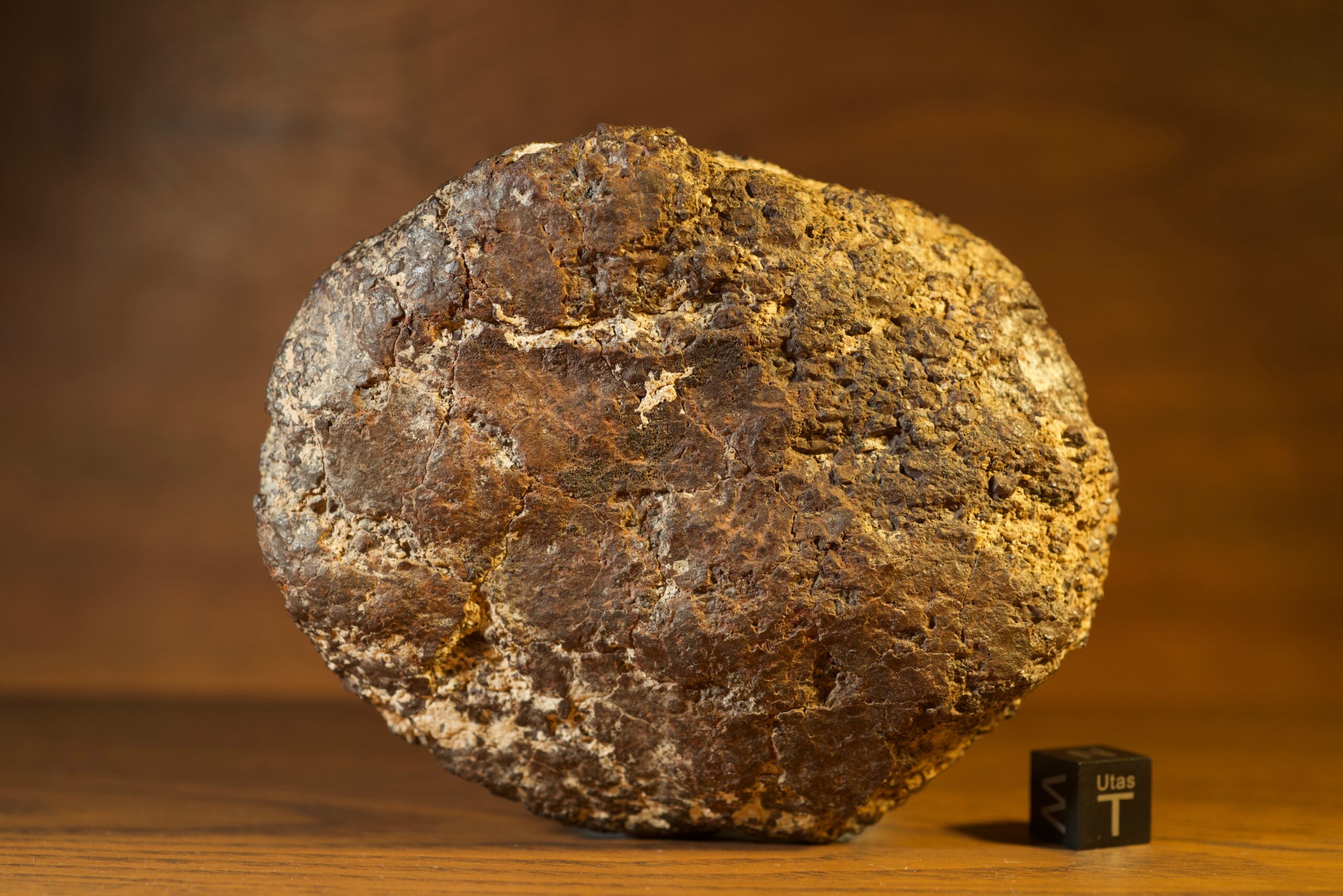 most famous meteorites